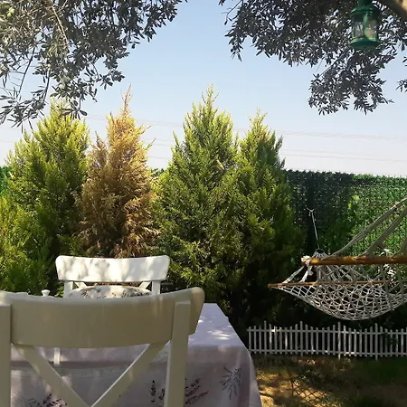 Era Hotel 4*