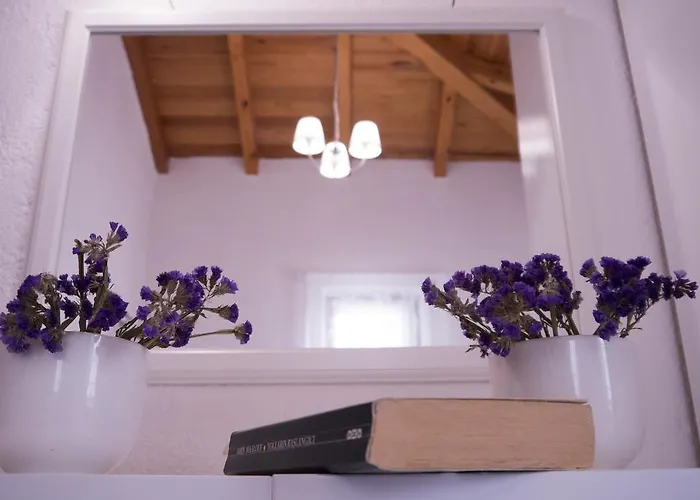 酒店 Era 阿拉恰特